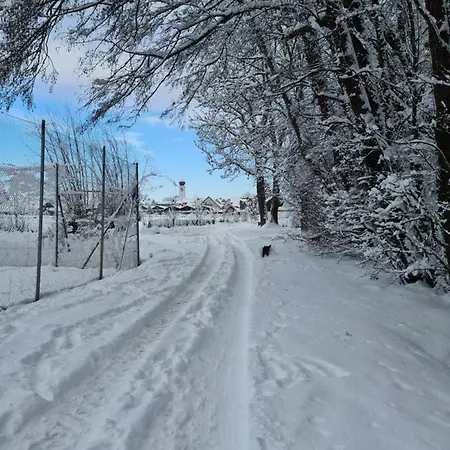 Mf Manuele Ficano - Am Bodensee - Stella *