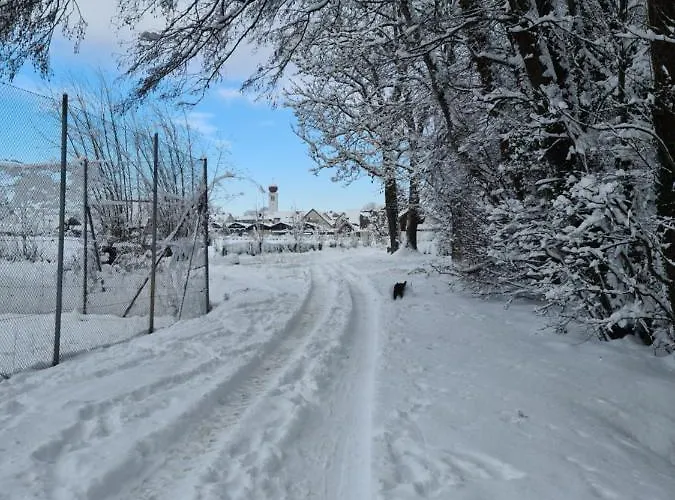 Mf Manuele Ficano - Am Bodensee - Stella *